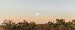 AMANHECER NO DESERTO DA AUSTRALIA - PANORAMICO