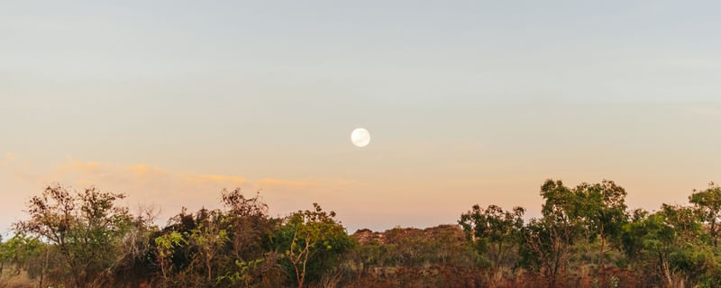 AMANHECER NO DESERTO DA AUSTRALIA - PANORAMICO