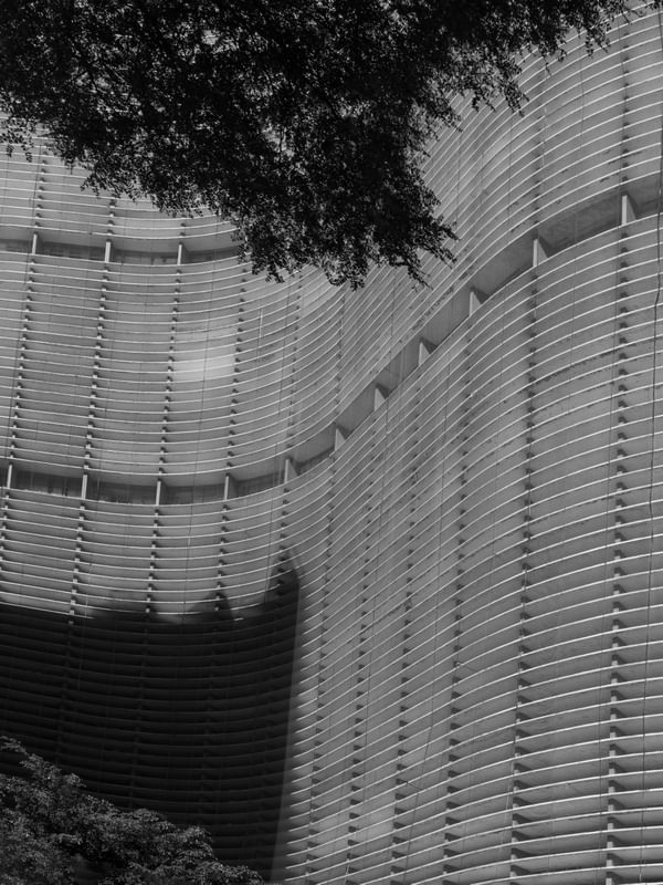 COPAN 038, SÃO PAULO : DÍPTICO 01