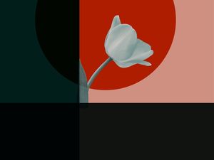 FLOWER LIGHT