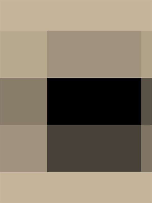 BLACK BOX