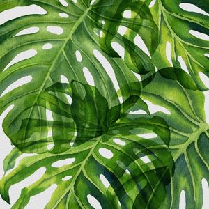 FOLHAS ILUSTRADAS XI