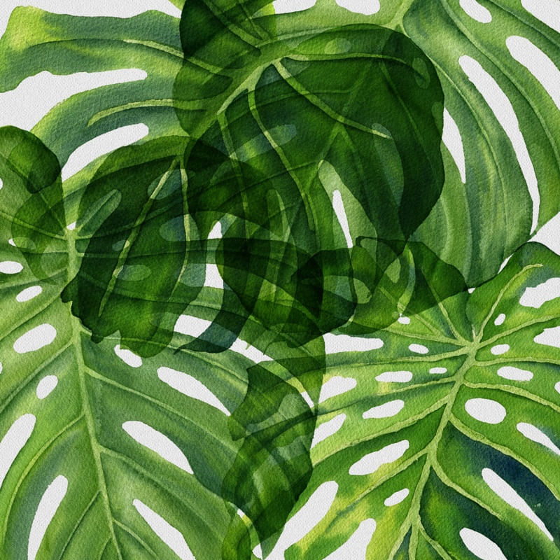 FOLHAS ILUSTRADAS XV
