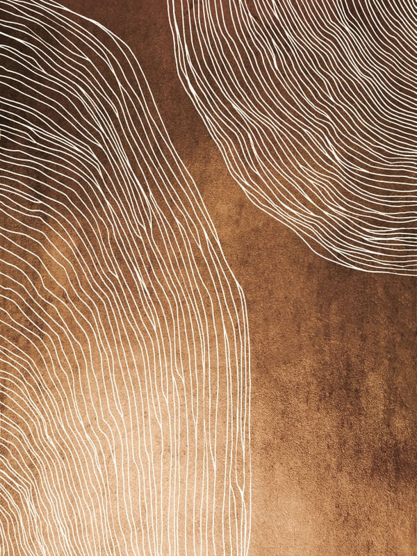 IN FLUX 2 COBRE LARANJA, MODERNO SKETCH ORGANICO LINHAS METALLICO ABSTRATO