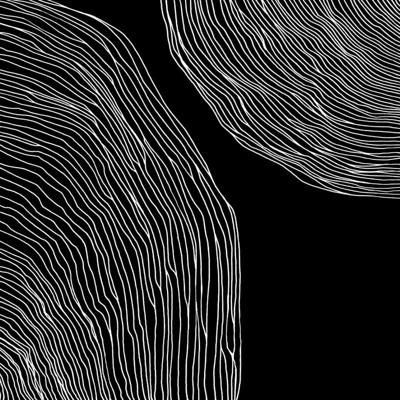 IN FLUX 2 QUADRADO PRETO E BRANCO, MODERNO MINIMALISTA LINHAS SKETCH