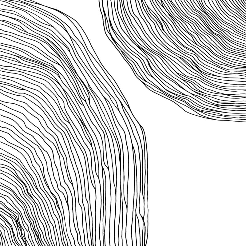 IN FLUX 2 QUADRADO BRANCO E PRETO, MODERNO MINIMALISTA LINHAS SKETCH