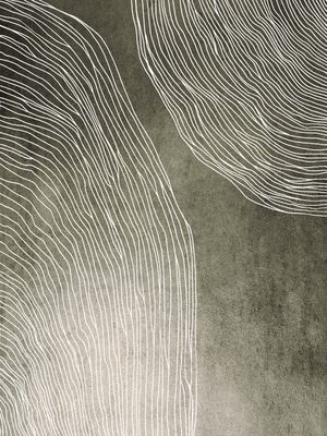 IN FLUX 2 PRATA PEDRA CINZA SEPIA, MODERNO SKETCH ORGANICO LINHAS METALLICO ABSTRATO