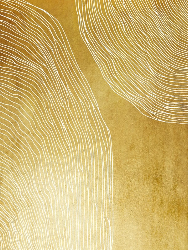IN FLUX 2 DOURADA AMARELO OURO, MODERNO SKETCH ORGANICO LINHAS METALLICO ABSTRATO