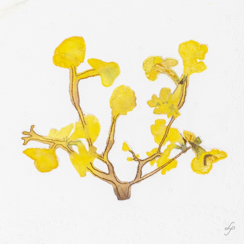 FLORES AMARELAS EM BORDADO