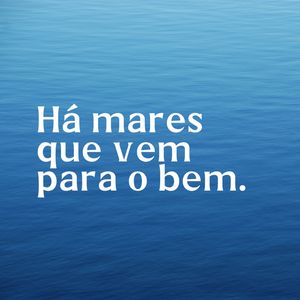 MARES XIV