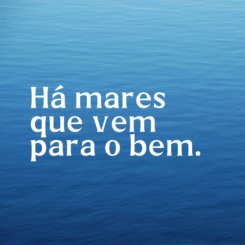MARES XIV