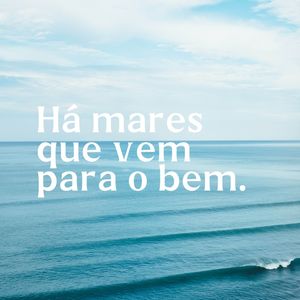 MARES XV
