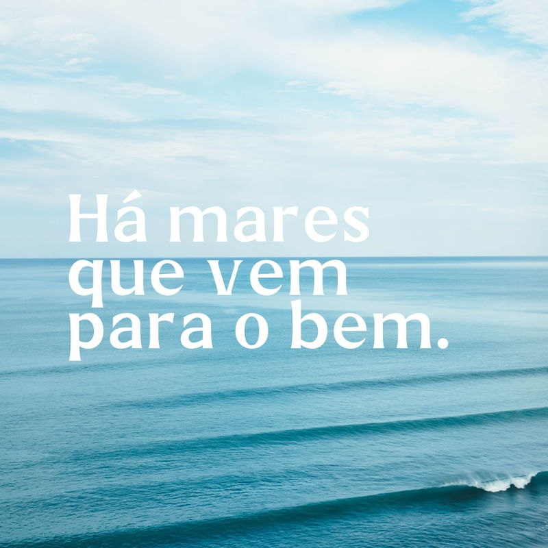 MARES XV