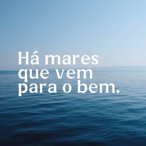 MARES XVII