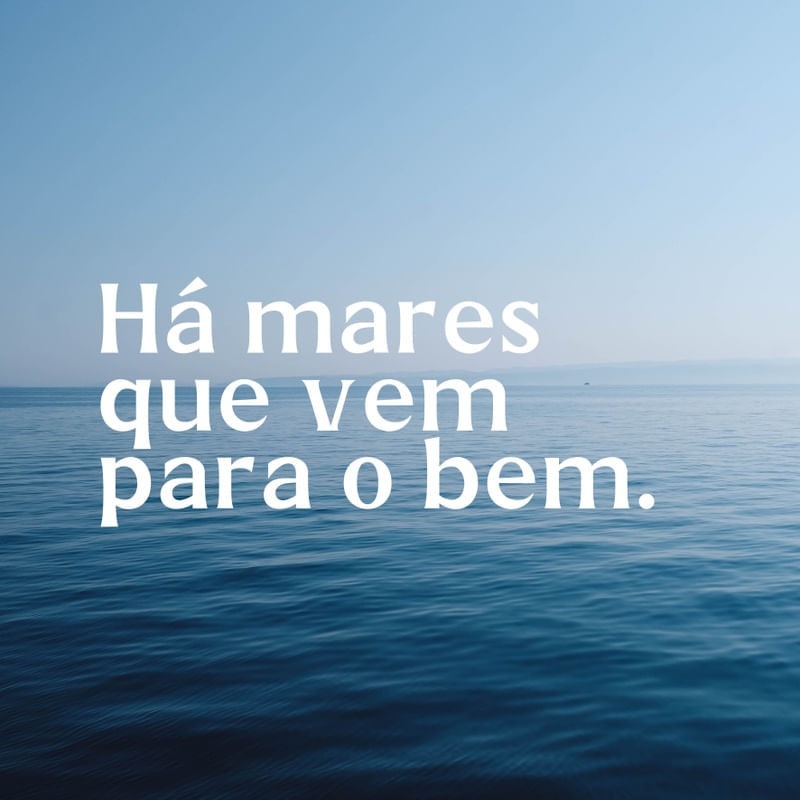 MARES XVII