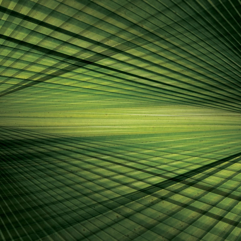 DOUBLEGREEN EXPOSURE