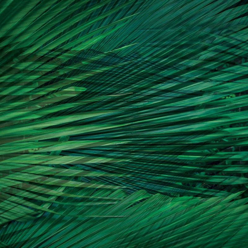 DOUBLE GREEN EXPUSURE