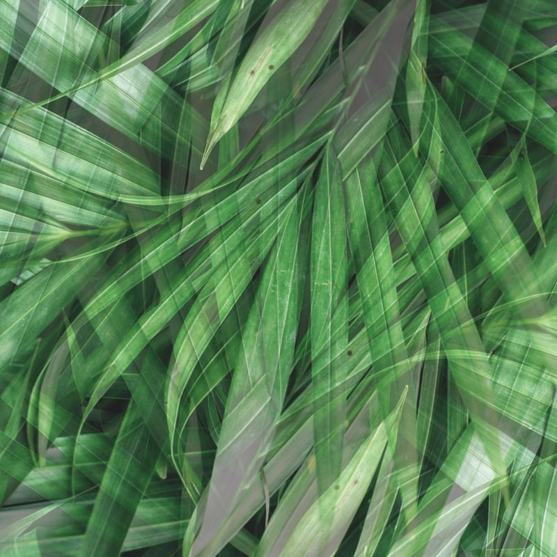 DOUBLE GREEN EXPOSURE