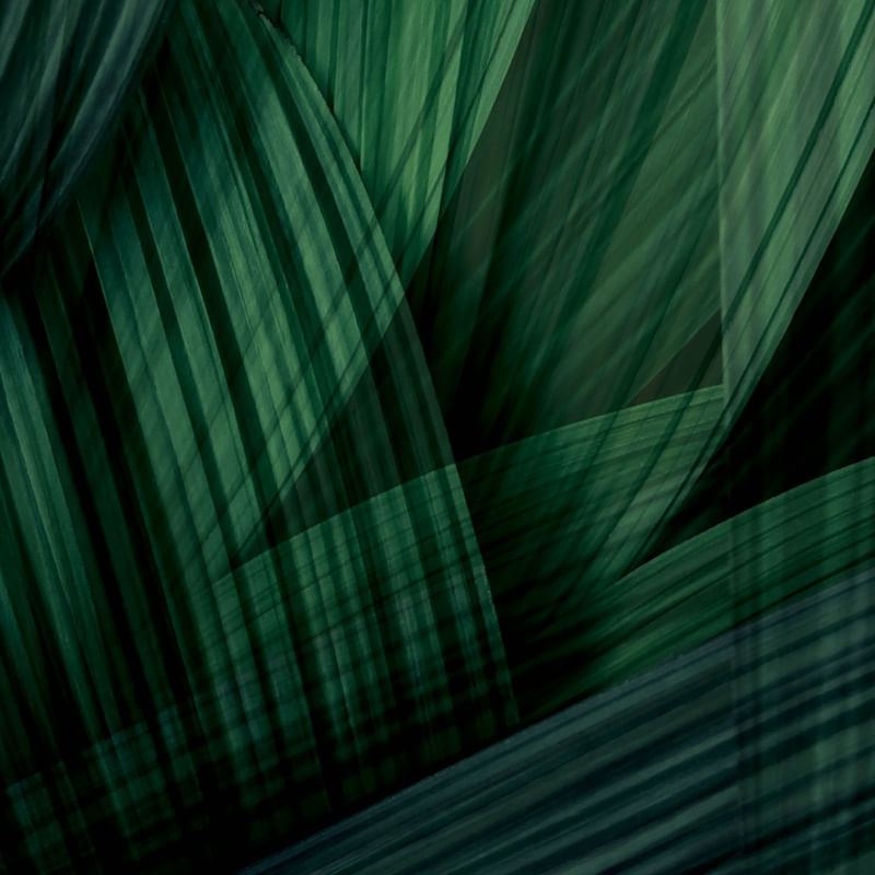 DOUBLEGREEN EXPOSURE I