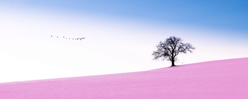 MINIMALISM PINK BLUE