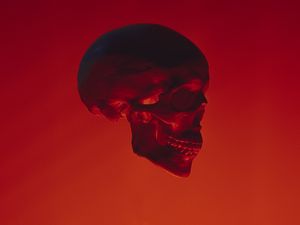 OMNISKULL