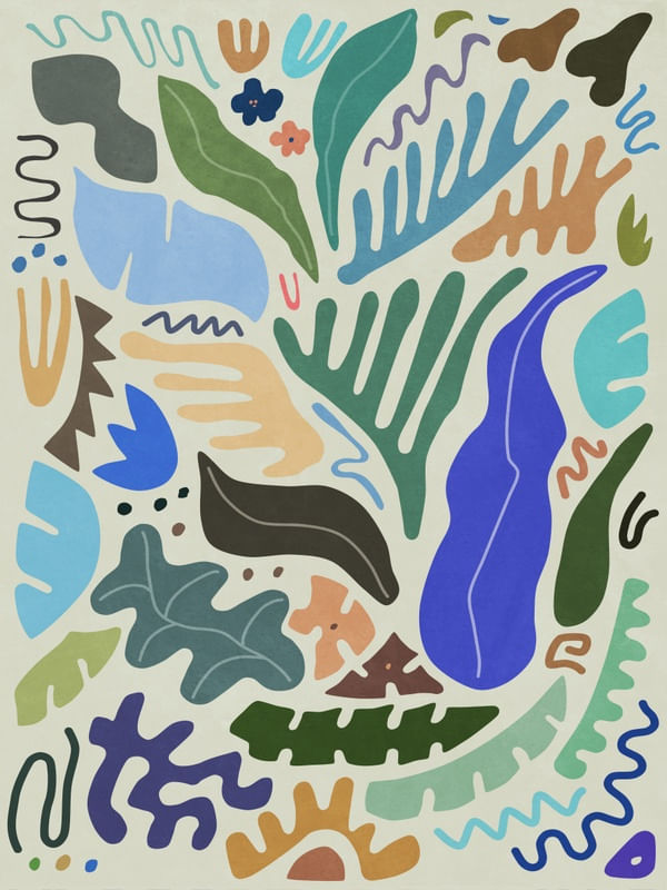 JUNGLE COLORS