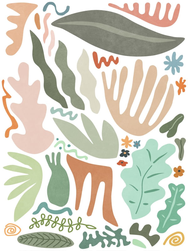 BOTANICAL COLOR