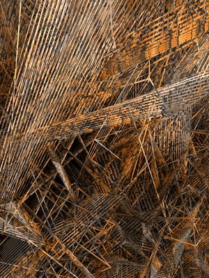 STRUCTUS ARIDA