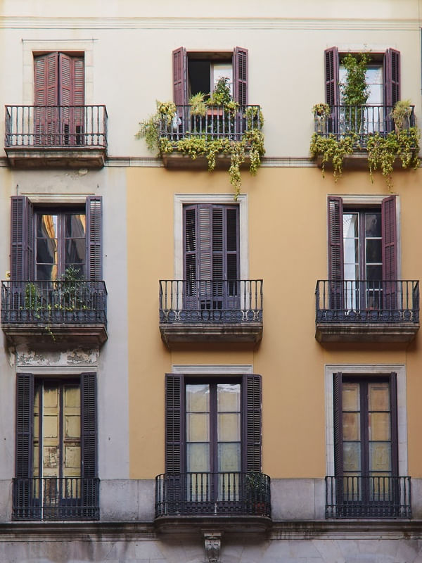 JANELAS DE BOLOGNA