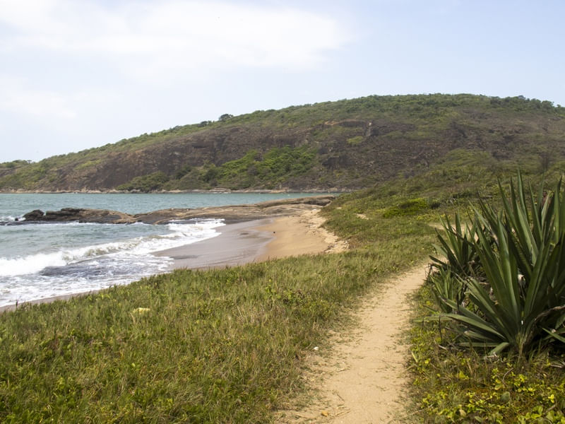CAMINHO PARA A FELICIDADE - GUARAPARI