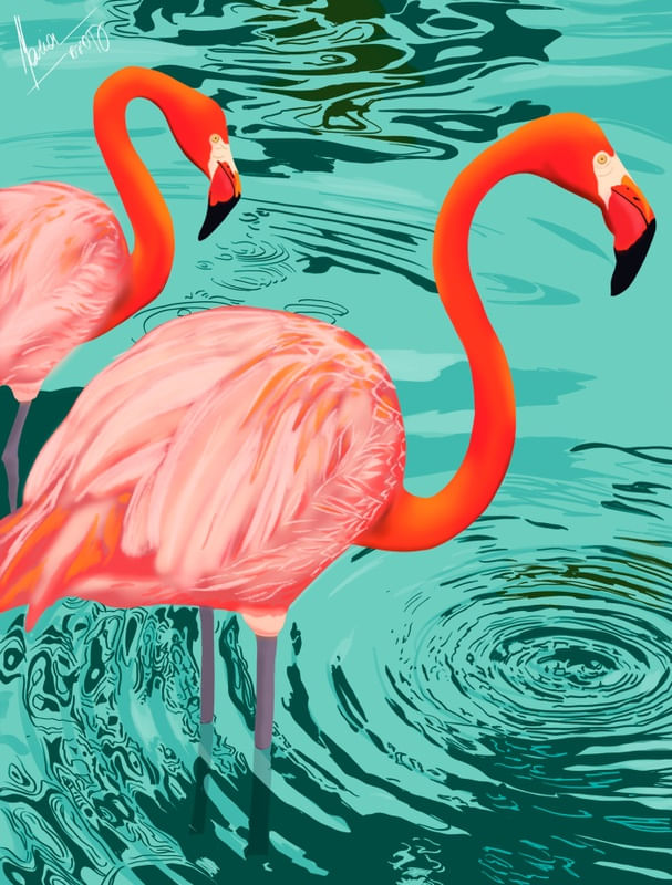 OS FLAMINGOS