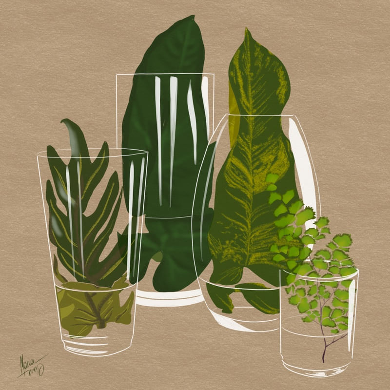 NATUREZA NÃO MORTA