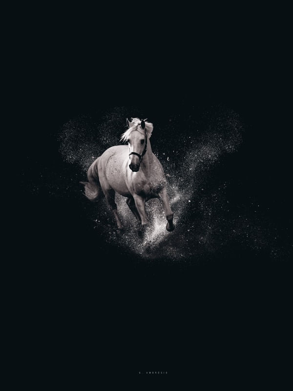 CAVALO CORRENDO