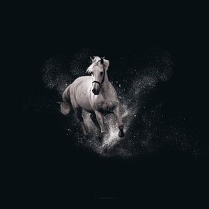 CAVALO CORRENDO QUADRADO