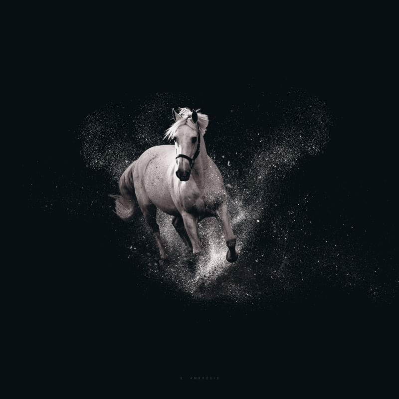 CAVALO CORRENDO QUADRADO