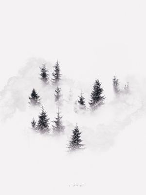 NAS NUVENS 03