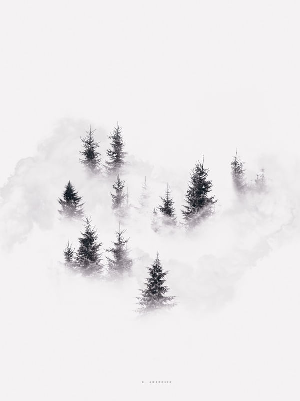 NAS NUVENS 03