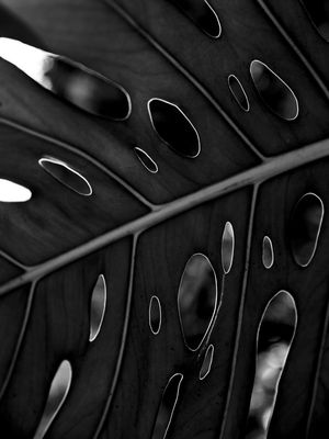 FOLHA ABSTRATA II