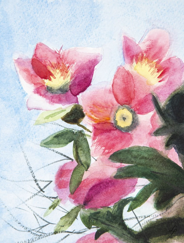 FLORES EM AMBIENTE NATURAL EM AQUARELA