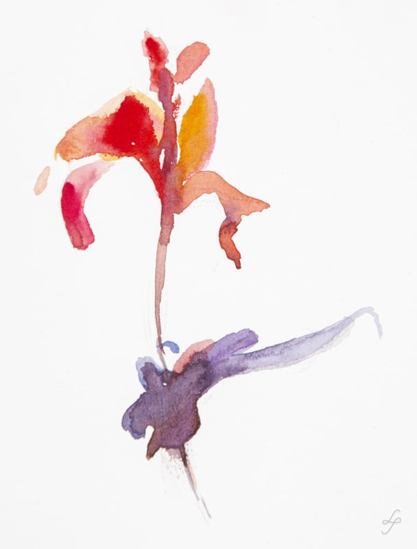 LÍRIO MINIMALISTA EM AQUARELA