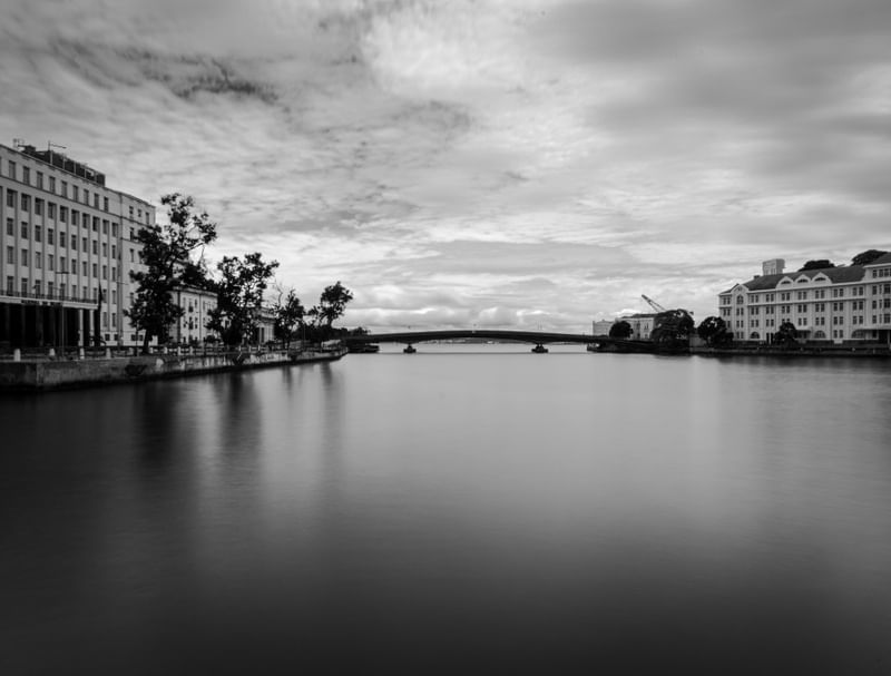 O CAMINHO DAS ÁRVORES ATÉ A PONTE