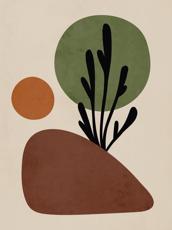 ORGANICO MINIMALISTA 002