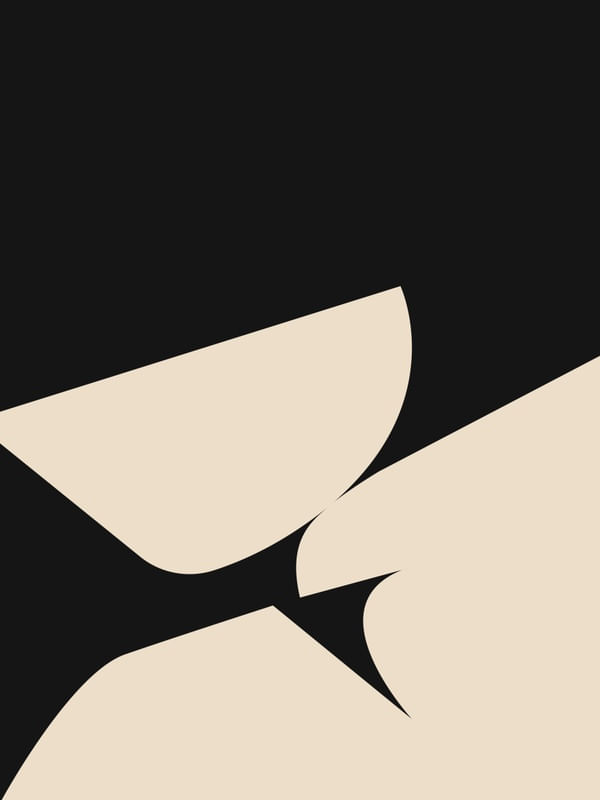 MINIMALISTA ORGANICO 4