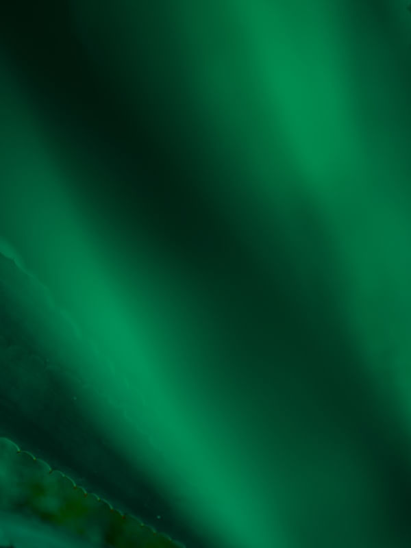 GREEN ABSTRACT I