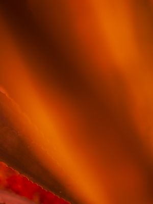 ART ABSTRACT ORANGE