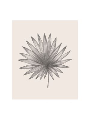 MINIMALISTIC PLANT