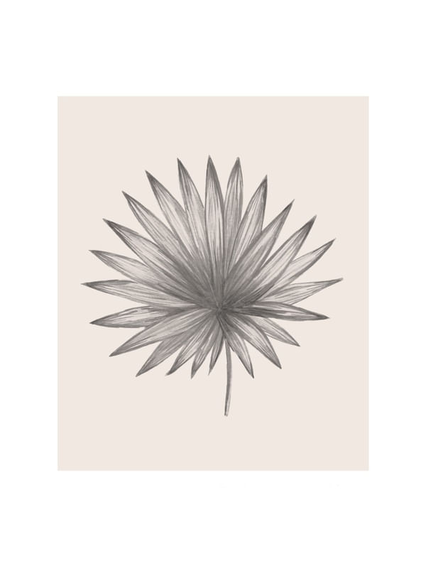 MINIMALISTIC PLANT