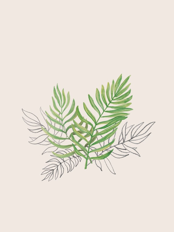 FERN LEAVES