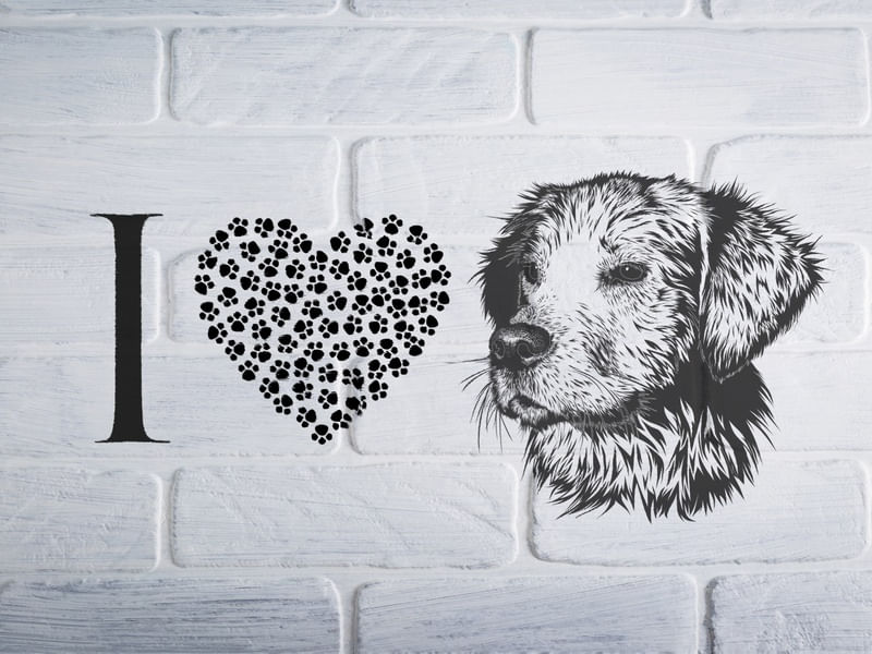 I LOVE DOGUINHO