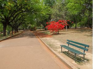 BANCO E FLORES NO PARQUE DO IBIRAPUERA